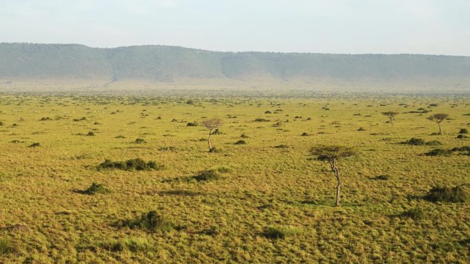 非洲航拍美丽的马赛马拉稀树草原景观在肯尼亚，惊人的旅行体验在马赛马拉在日出时乘坐热气球飞行，广阔的草