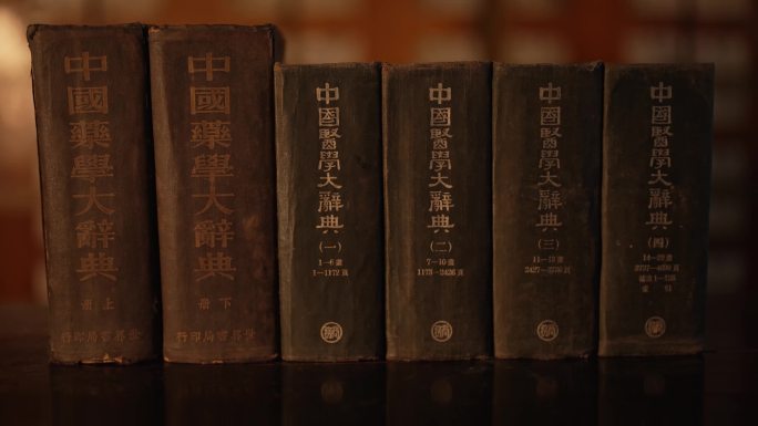 中医古书古籍医学大词典全册展示