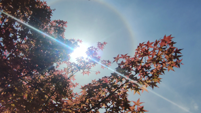 日晕 烈日光晕 太阳光晕 烈日 艳阳高照