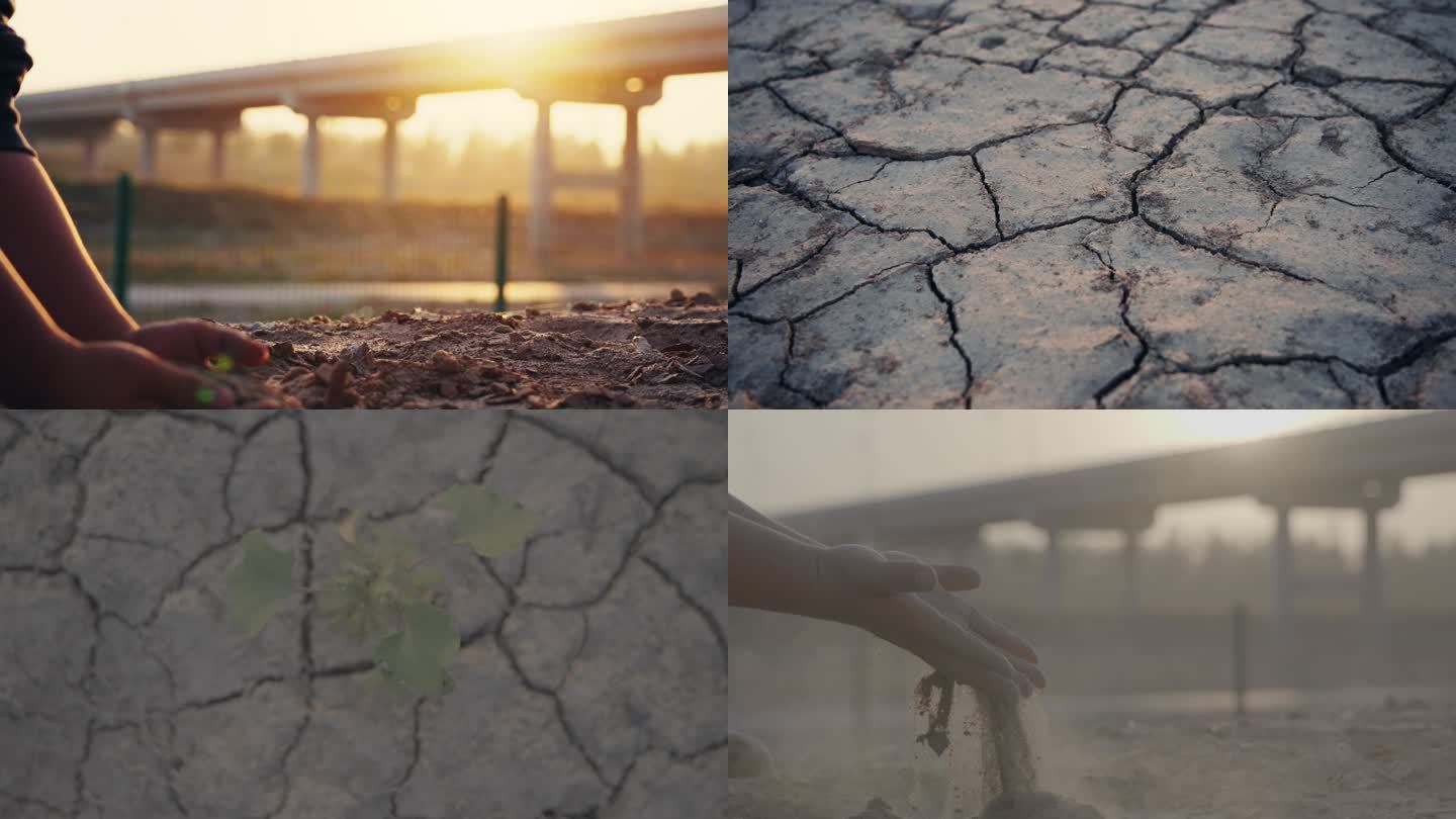 逆光手捧起泥土—干旱的土地