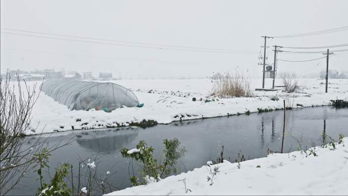 农村鹅毛大雪田野被白雪覆盖