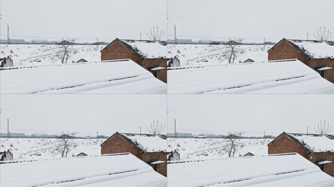 冬天农村鹅毛大雪屋顶积雪