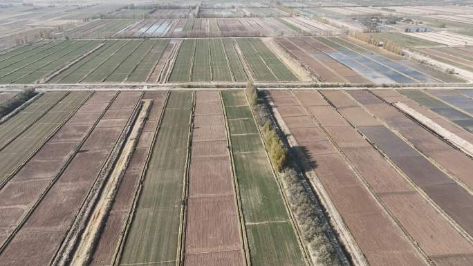 冬季灌溉农业 甘肃张掖