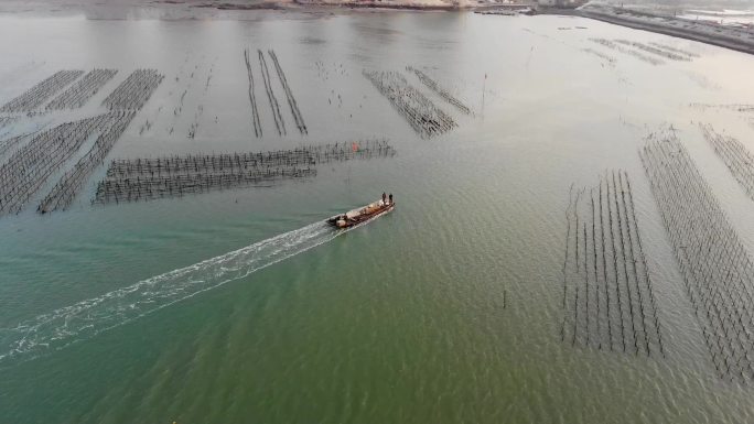 福建漳州港海湾渔业养殖