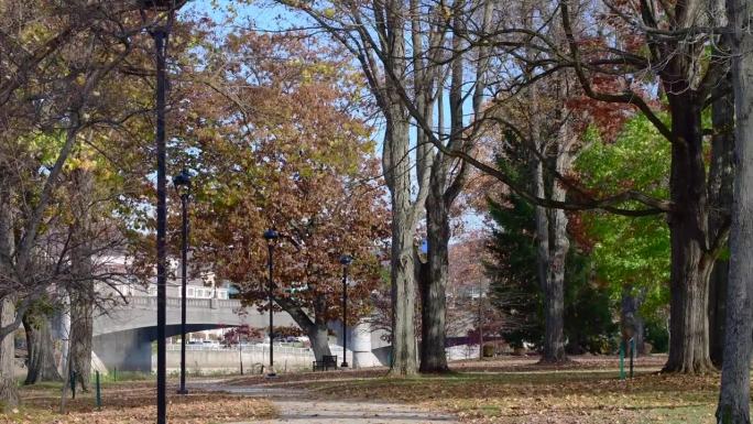 慢动作的风中的树，宾夕法尼亚州Us镇公园