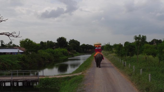 泰国骑大象
