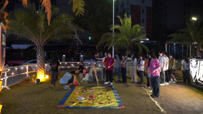 营地 篝火晚会 聚会 夜晚 烤肉 大学生