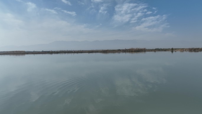 黑河湿地水库 候鸟鸟群飞翔 甘肃张掖