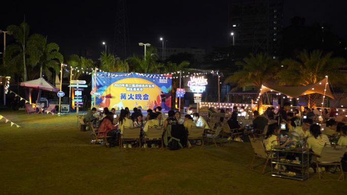 营地 篝火晚会 露营 夜晚 烤肉 大学生