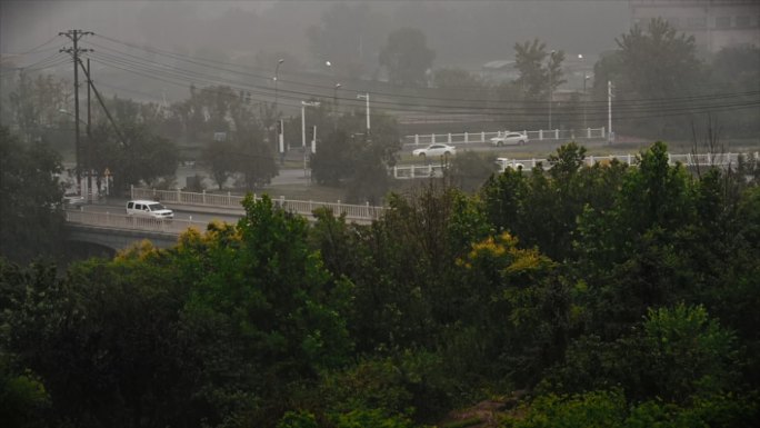 下雨 城市 行人 暴雨 大雨 打伞的人