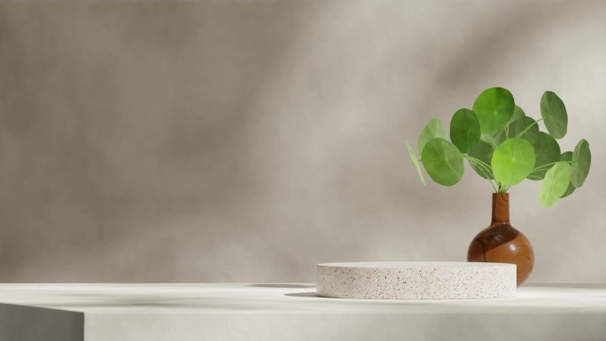 水磨石圆柱平台无缝循环阴影动画与木花瓶绿色室内植物的3d视频渲染场景模板