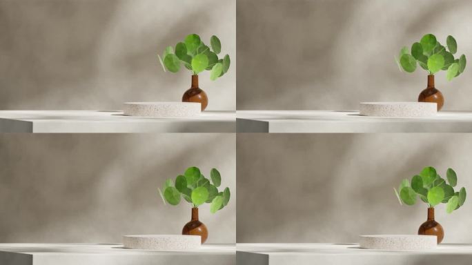 水磨石圆柱平台无缝循环阴影动画与木花瓶绿色室内植物的3d视频渲染场景模板