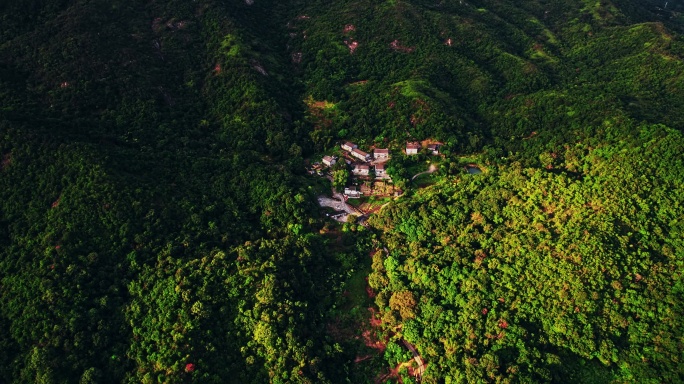 航拍深圳马峦山山中农屋清闲生活