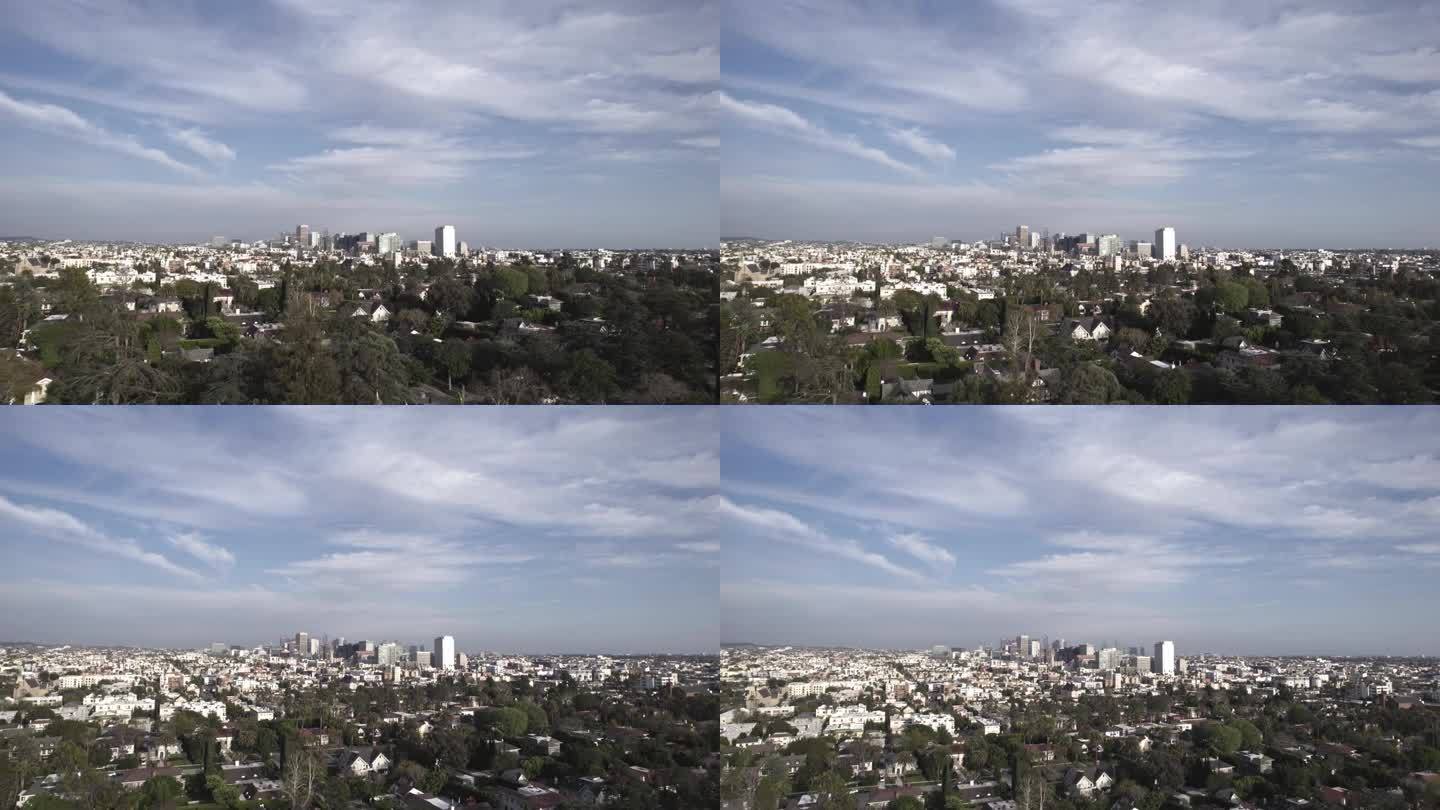 棕榈树和洛杉矶引人注目的天际线