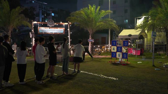 营地 篝火晚会 露营 夜晚 烤肉 大学生