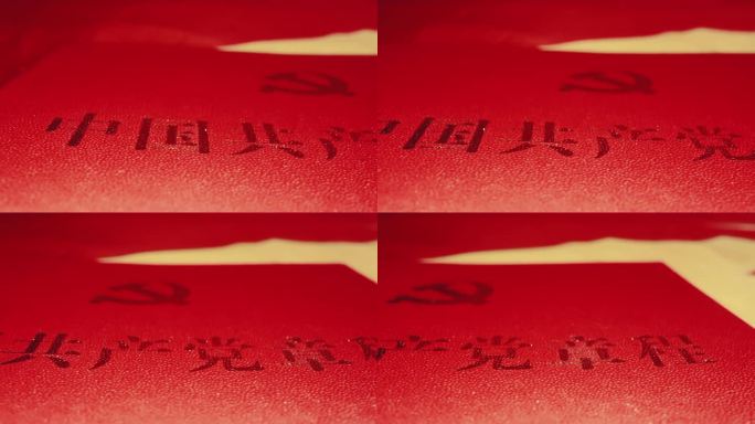 【4K】党章特写