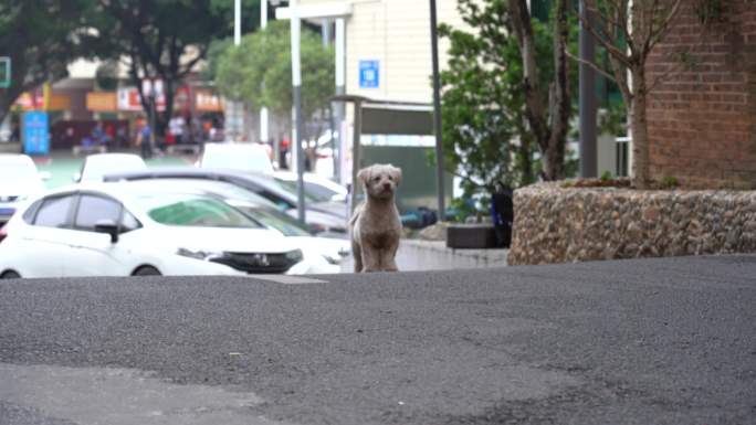 市民生活 龙华 村民 日常生活 幸福生活