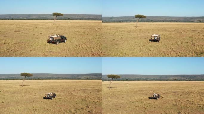 无人机拍摄的野生动物摄影师驾驶游猎车在马赛马拉国家保护区稀树草原，肯尼亚，非洲美丽的风景和金合欢树