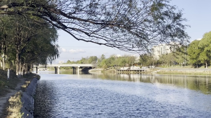 北京冬日里的河边风景