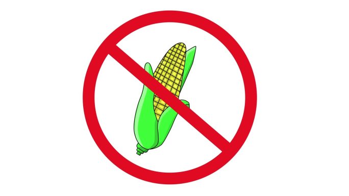 禁用图标和玉米图标的动画