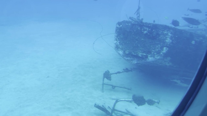 在夏威夷海岸外的海底，一条鱼游过一艘潜艇的舷窗，身后是一艘怪异的沉船。30fps的4K HDR