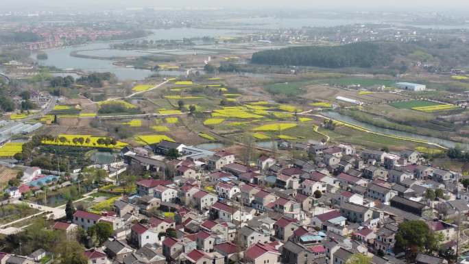 乡村风景