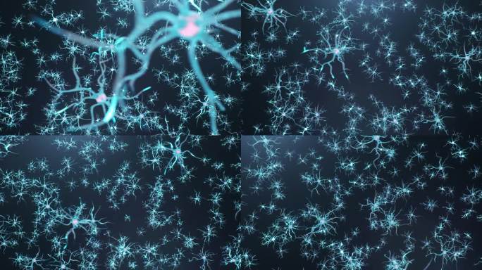 大脑中的动画神经元。突触和神经元细胞发送电子化学信号。电脉冲的活动突触，轴突，神经递质，大脑中的树突