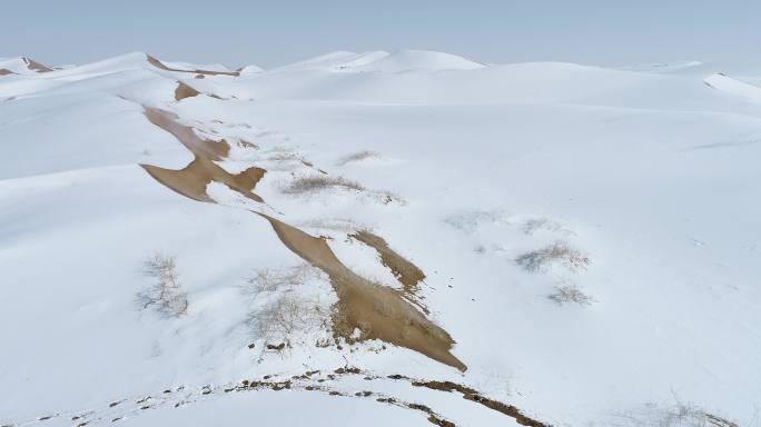 沙漠雪景