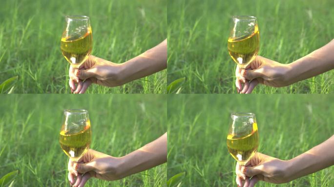 酒 倒酒 酒杯 品酒 视频素材  产品