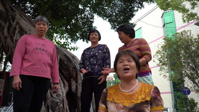 榕树 市民 生活 城市角落 老人唱歌