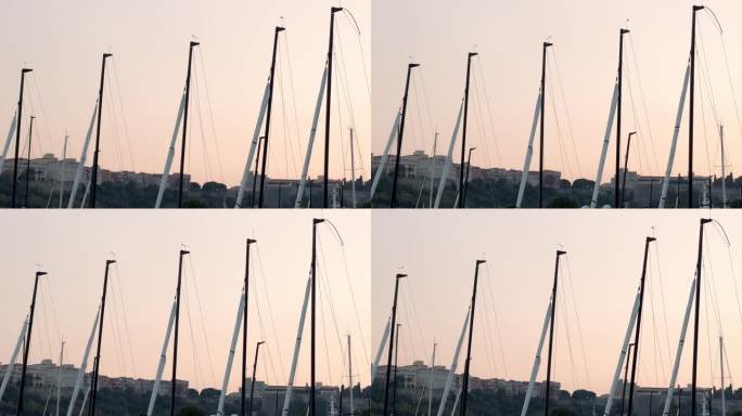 夕阳下的许多桅杆顶端，停泊的帆船，背景是蓝天