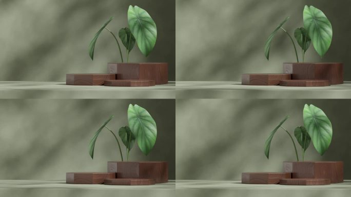 3d视频渲染棕色木材纹理的空白空间裙楼循环无缝阴影动画与绿色的室内植物