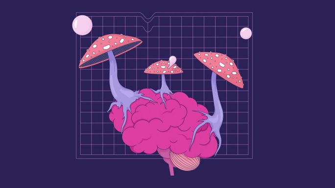蘑菇飞木耳生长在脑线上的2D动画