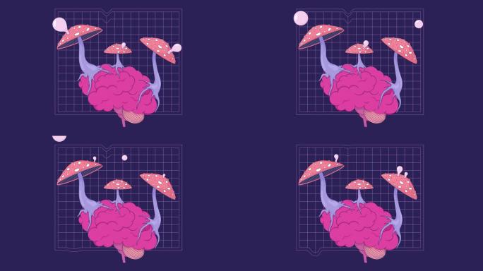 蘑菇飞木耳生长在脑线上的2D动画