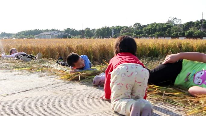 几个小孩田野间玩耍