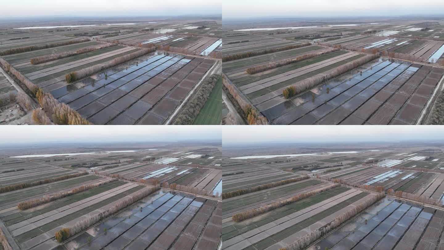 冬季灌溉农业 甘肃张掖