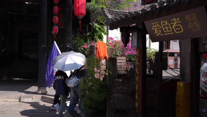 二十四史书院 深圳 师生 交流学习 游学