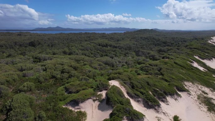 澳大利亚新南威尔士州芒戈海滩的茂密树林和沙丘。空中拍摄