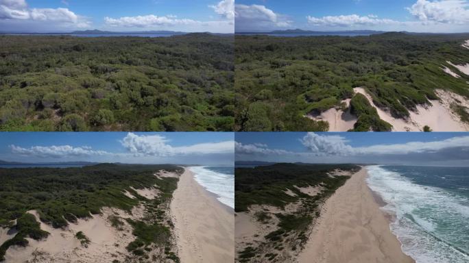澳大利亚新南威尔士州芒戈海滩的茂密树林和沙丘。空中拍摄