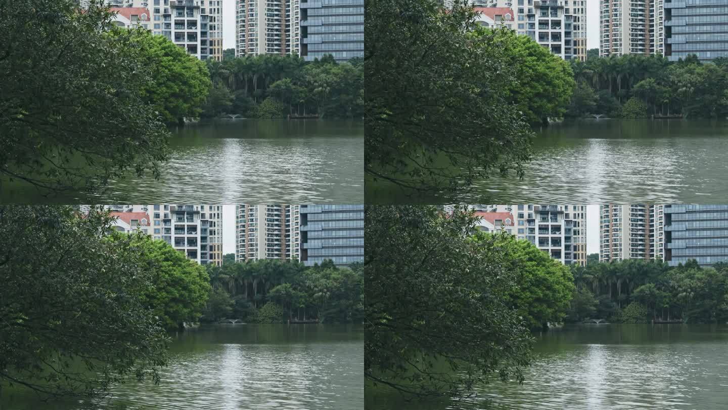 湖边的豪华住宅湖边的豪华住宅楼盘