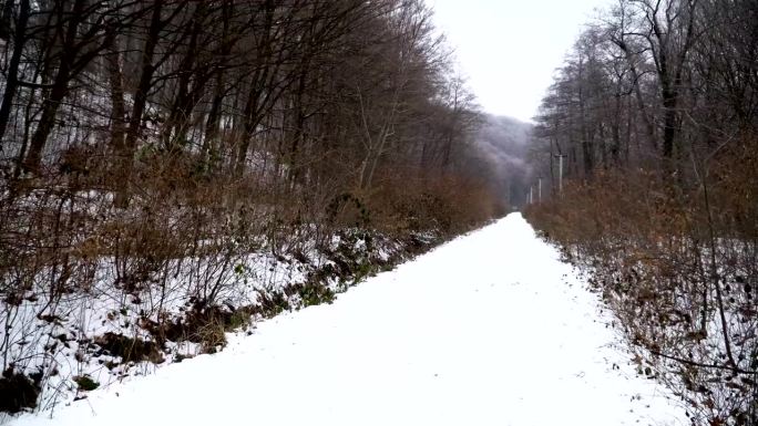 冬天在树林里挖隧道，白雪覆盖的道路，冬天的树林