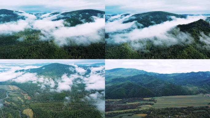 湿地山峦云海风光