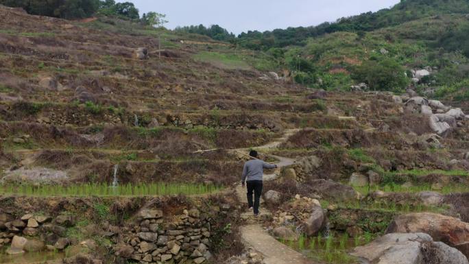 县城 梯田 航拍 乡村振兴 陆河县