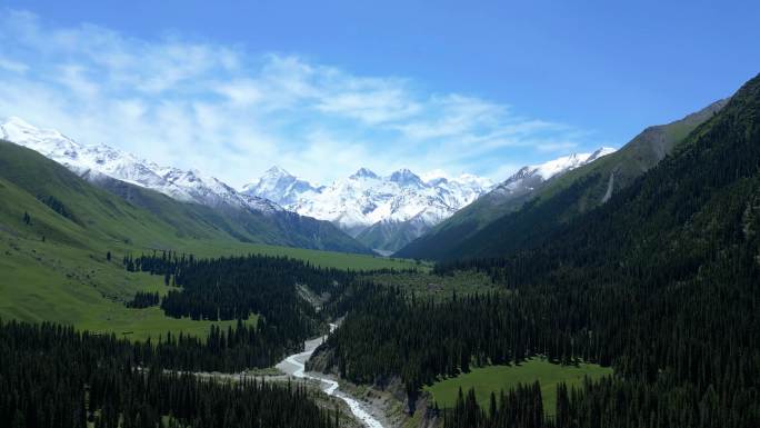 航拍新疆伊犁昭苏夏塔森林雪山4k