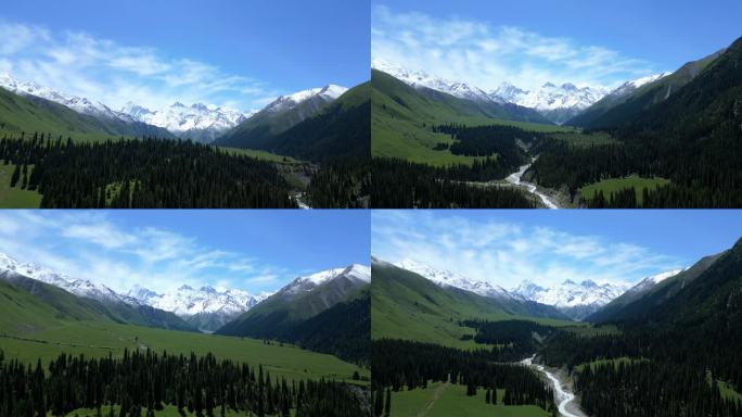 航拍新疆伊犁昭苏夏塔森林雪山4k