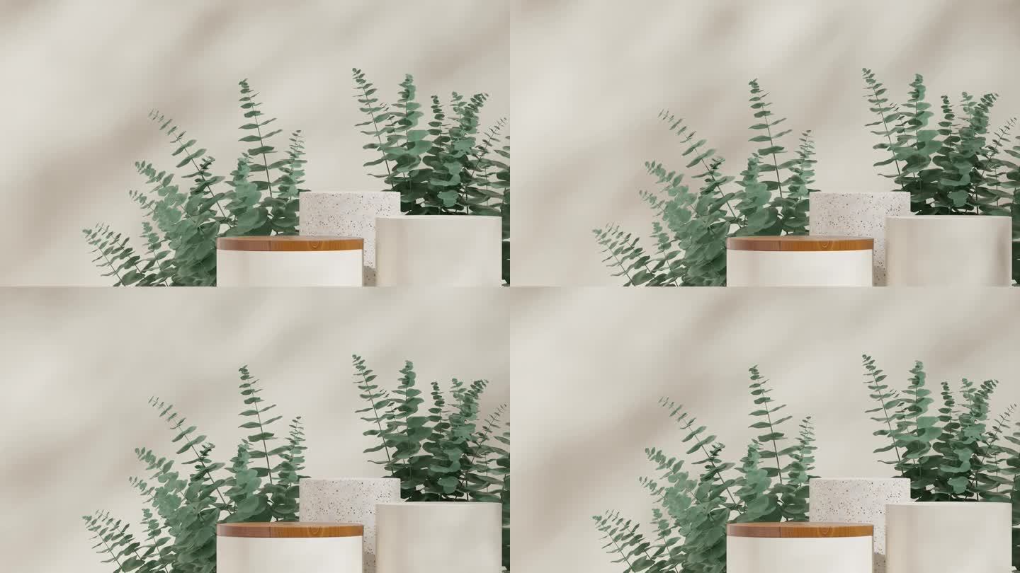 渲染3d镜头场景模板的白色，木材和水磨石纹理平台无缝阴影动画循环与桉树叶子