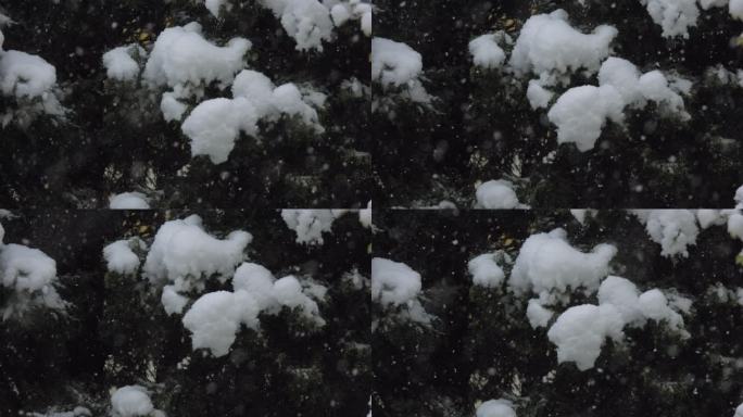 初冬大雪