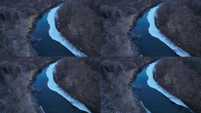湿地河流残冰候鸟苍鹭鸬鹚