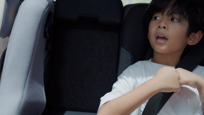 在一次家庭旅行中，一个小男孩坐在汽车后座上一边唱歌一边欣赏风景。