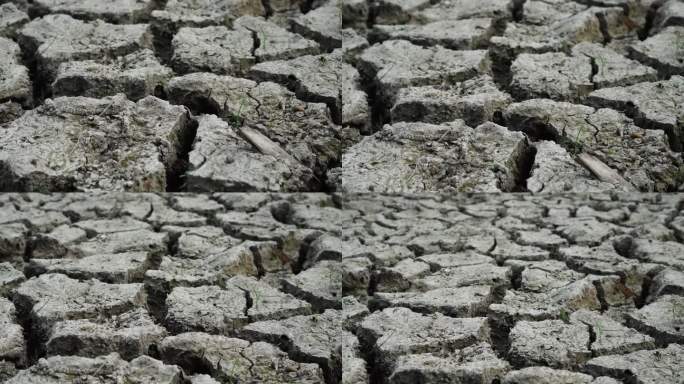 干旱和龟裂的土壤